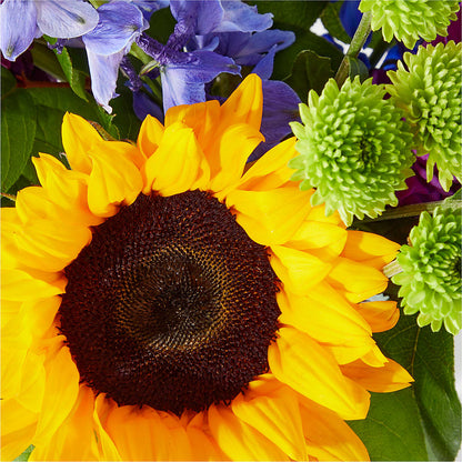 Catching Rays Bouquet –  Holtschlag Florist, Quincy IL
