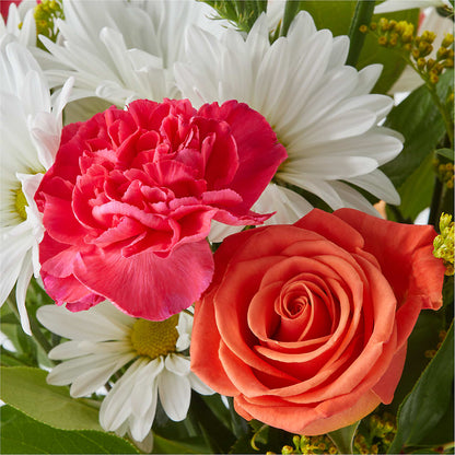 Oopsie Daisy Bouquet –  Holtschlag Florist, Quincy IL
