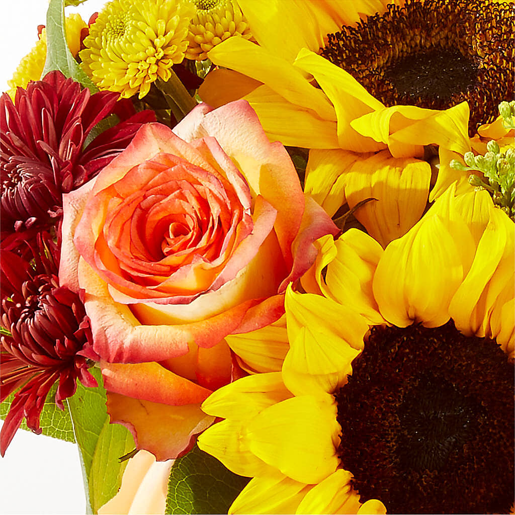 Golden Gourd Pumpkin Bouquet –  Holtschlag Florist, Quincy IL