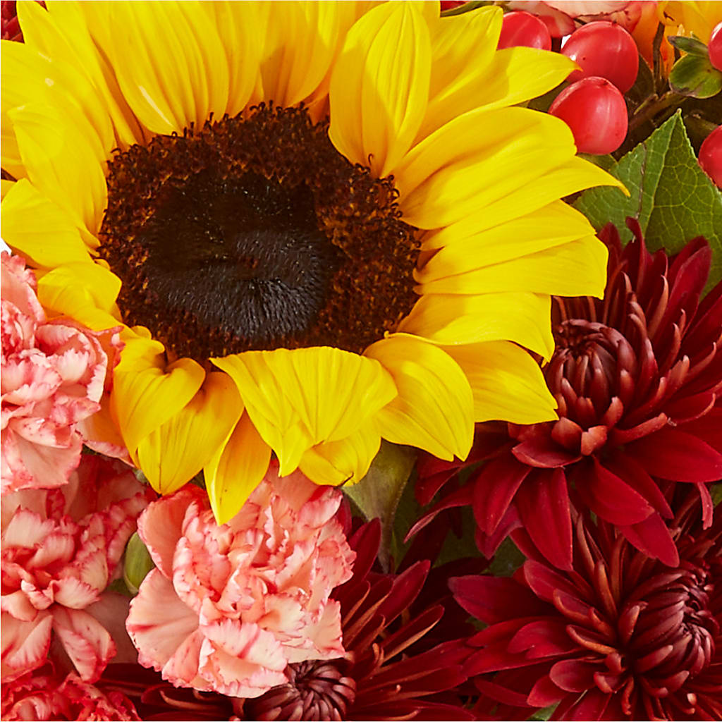 Fresh Cider Bouquet –  Holtschlag Florist, Quincy IL