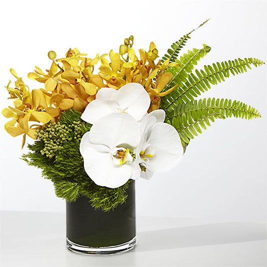The Tropics –  Holtschlag Florist, Quincy IL
