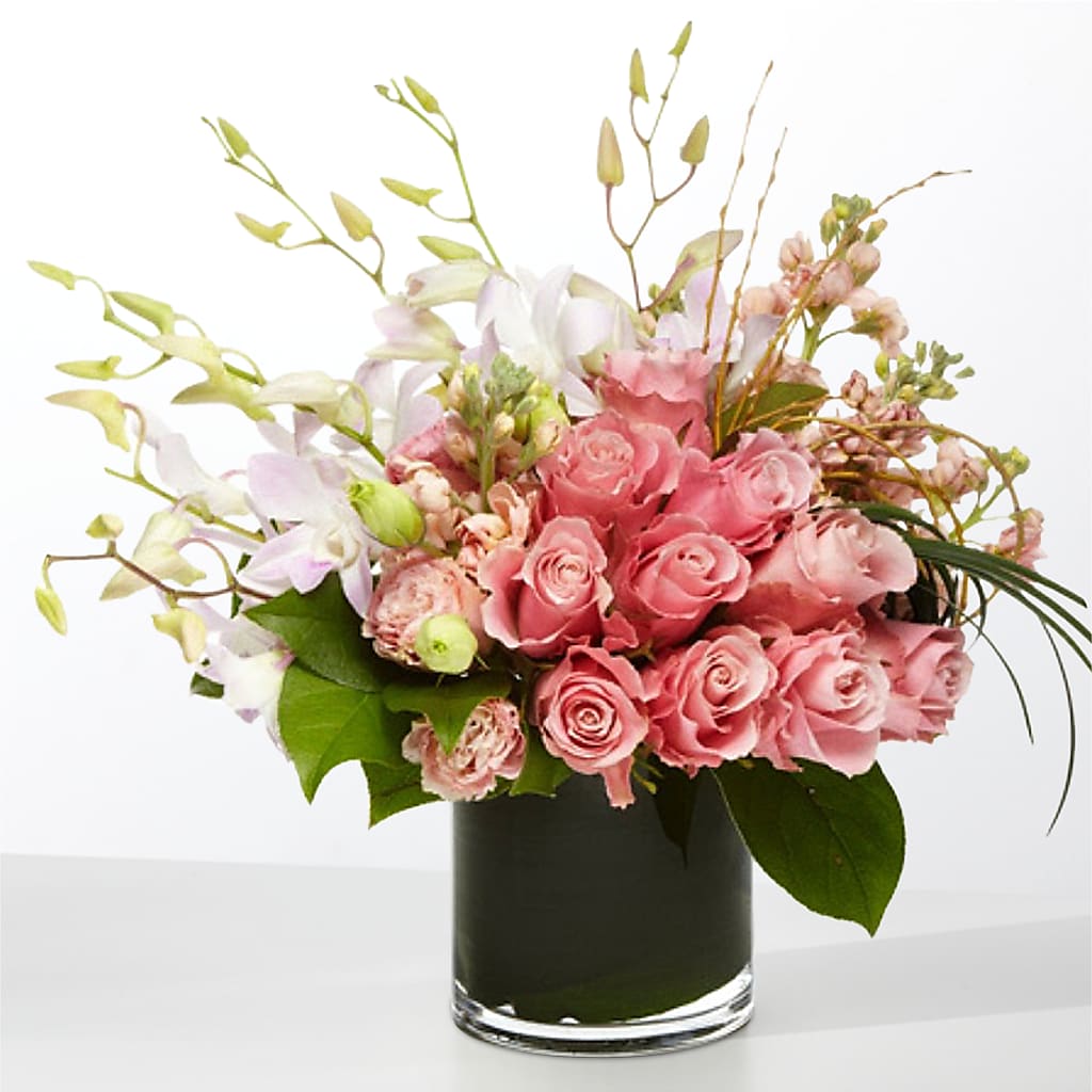 The Muse