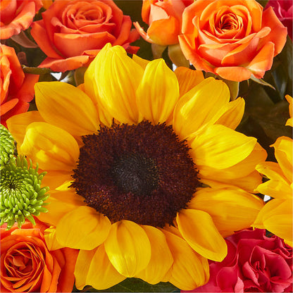 Sun-drenched Blooms Box Bouquet –  Holtschlag Florist, Quincy IL