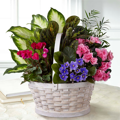 Peaceful Garden Planter –  Holtschlag Florist, Quincy IL