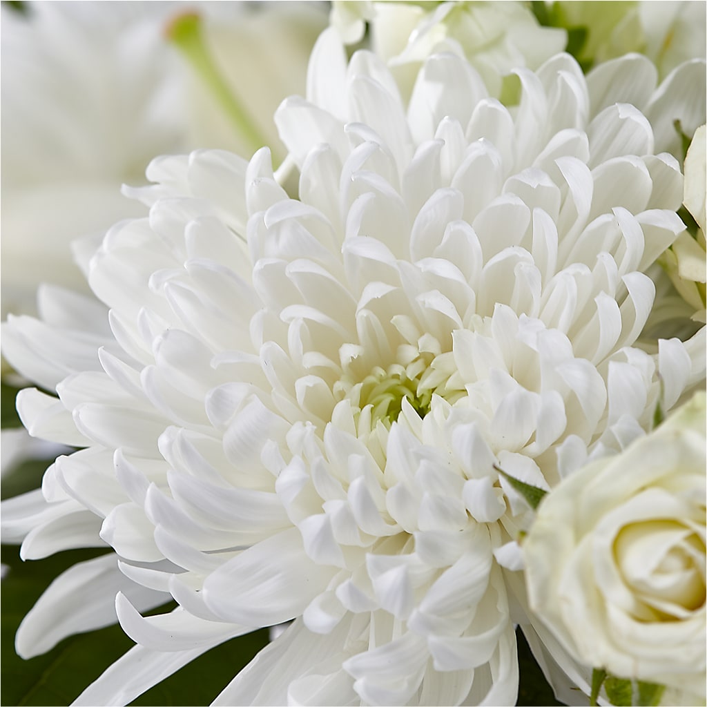 Classic Ivory – A Florist Original –  Holtschlag Florist, Quincy IL