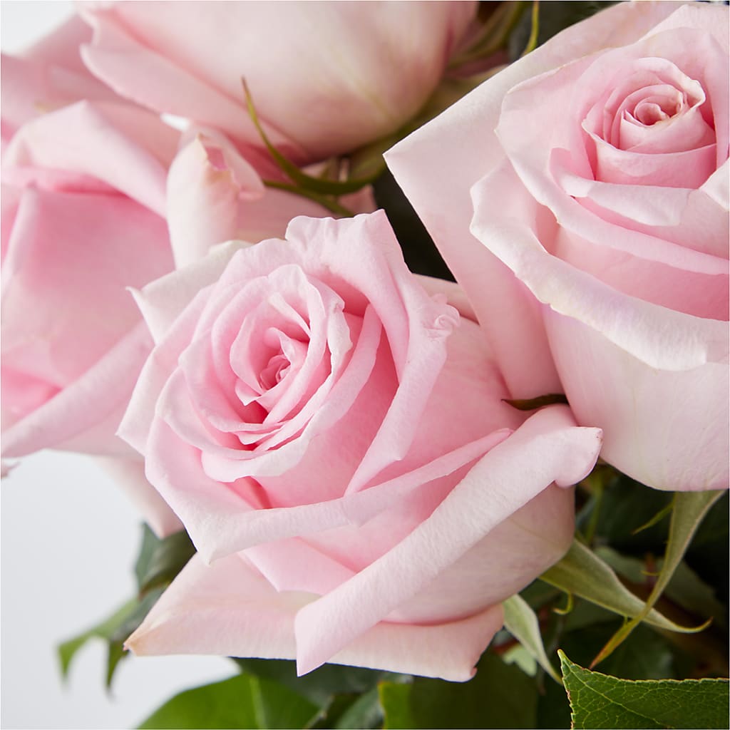 Picture Perfect Pink Rose Bouquet –  Holtschlag Florist, Quincy IL