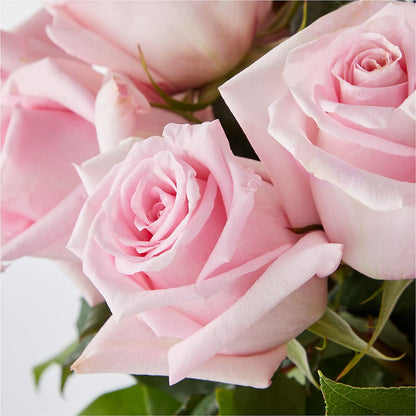 Picture Perfect Pink Rose Bouquet –  Holtschlag Florist, Quincy IL