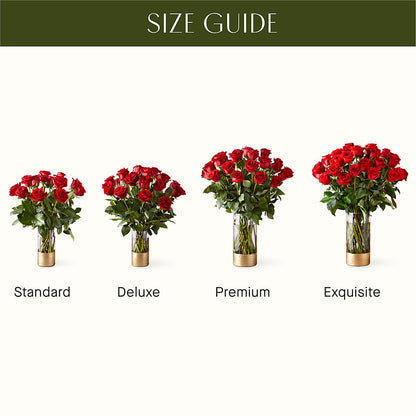 Classic Love Red Rose Bouquet –  Holtschlag Florist, Quincy IL
