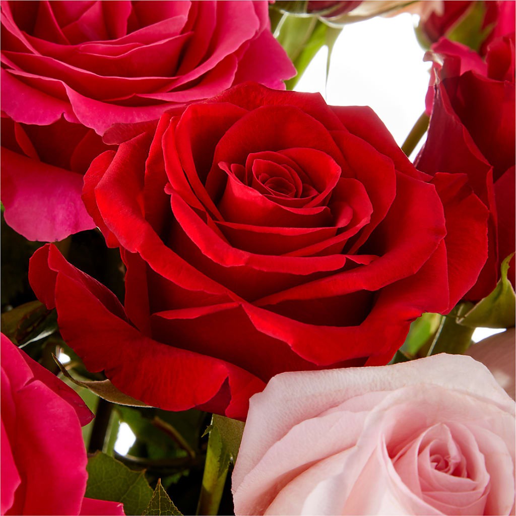 Love Notes Rose Bouquet –  Holtschlag Florist, Quincy IL
