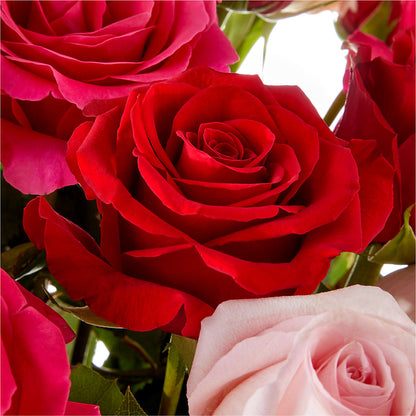 Love Notes Rose Bouquet –  Holtschlag Florist, Quincy IL