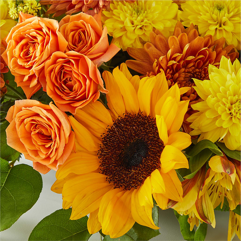 Autumn Harmony Centerpiece –  Holtschlag Florist, Quincy IL