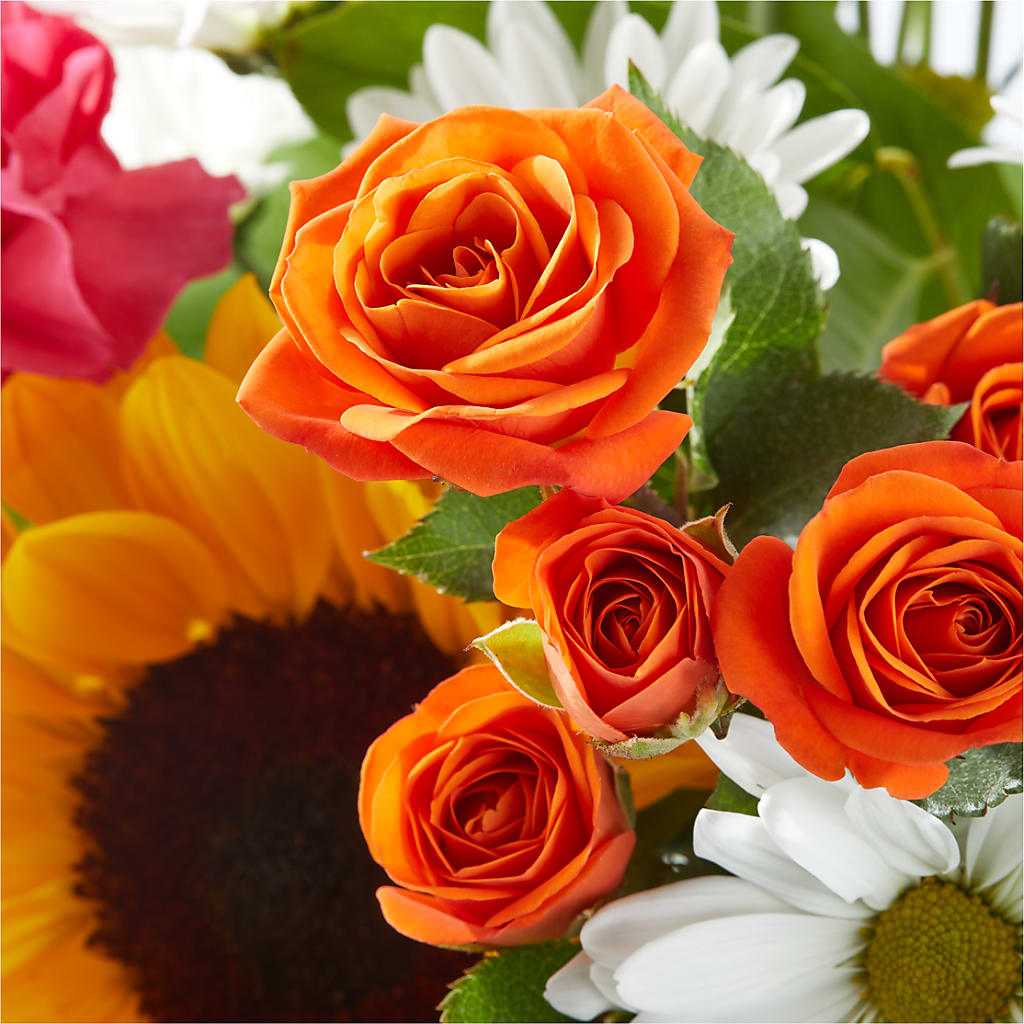 Sun-drenched Blooms Bouquet –  Holtschlag Florist, Quincy IL