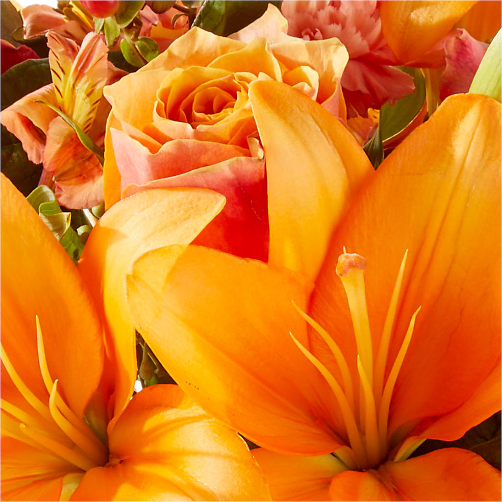 Afternoon Light Bouquet –  Holtschlag Florist, Quincy IL