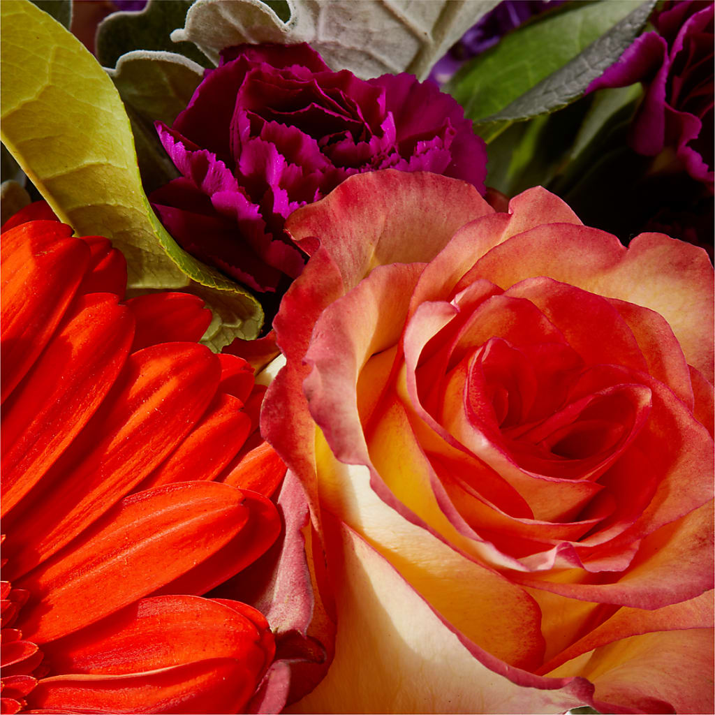 Sangria Bouquet –  Holtschlag Florist, Quincy IL