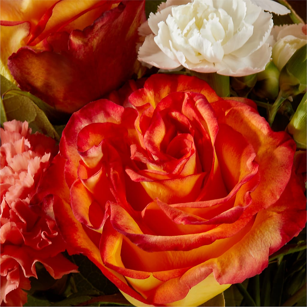 Apricot Glow Bouquet –  Holtschlag Florist, Quincy IL