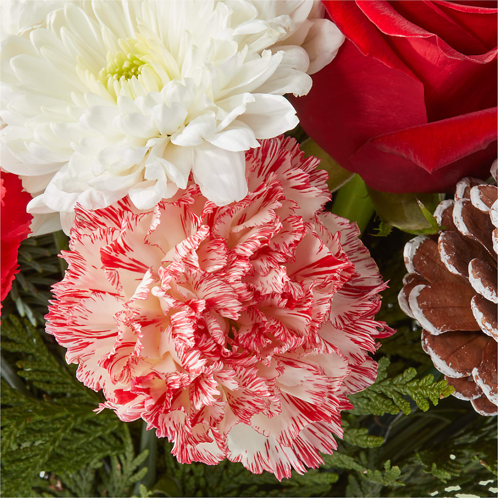 Candy Cane Lane Bouquet –  Holtschlag Florist, Quincy IL