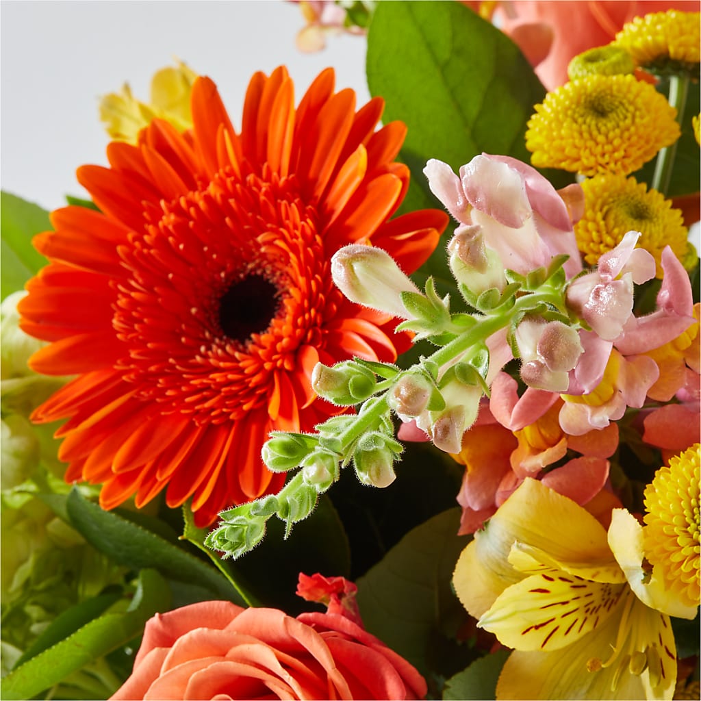 Autumn Sunshine Bouquet –  Holtschlag Florist, Quincy IL