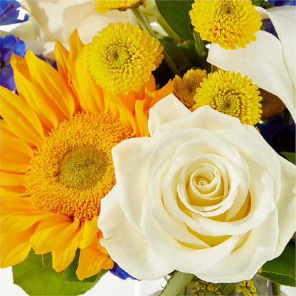 Stargazing Bouquet –  Holtschlag Florist, Quincy IL