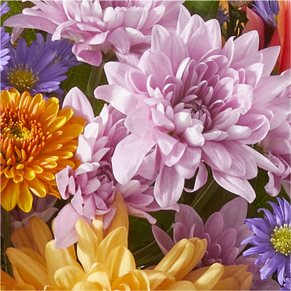 Countryside Bouquet –  Holtschlag Florist, Quincy IL