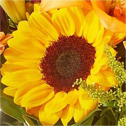 Seasons Change Bouquet –  Holtschlag Florist, Quincy IL