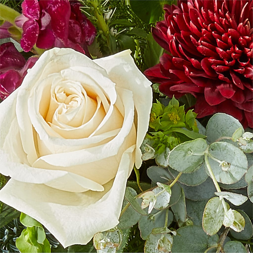 Cranberry Fizz Bouquet –  Holtschlag Florist, Quincy IL