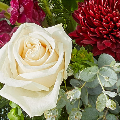Cranberry Fizz Bouquet –  Holtschlag Florist, Quincy IL
