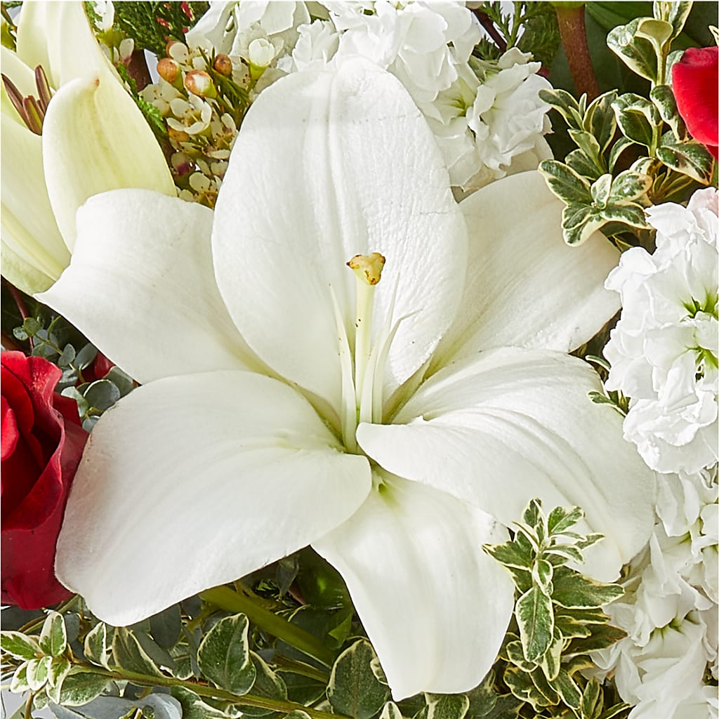 Twinkle Lights Bouquet –  Holtschlag Florist, Quincy IL