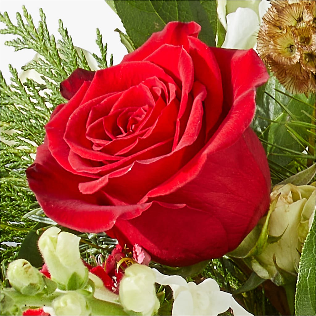 Deck the Halls Bouquet –  Holtschlag Florist, Quincy IL