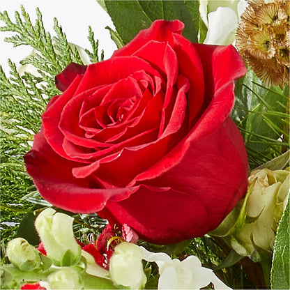 Deck the Halls Bouquet –  Holtschlag Florist, Quincy IL