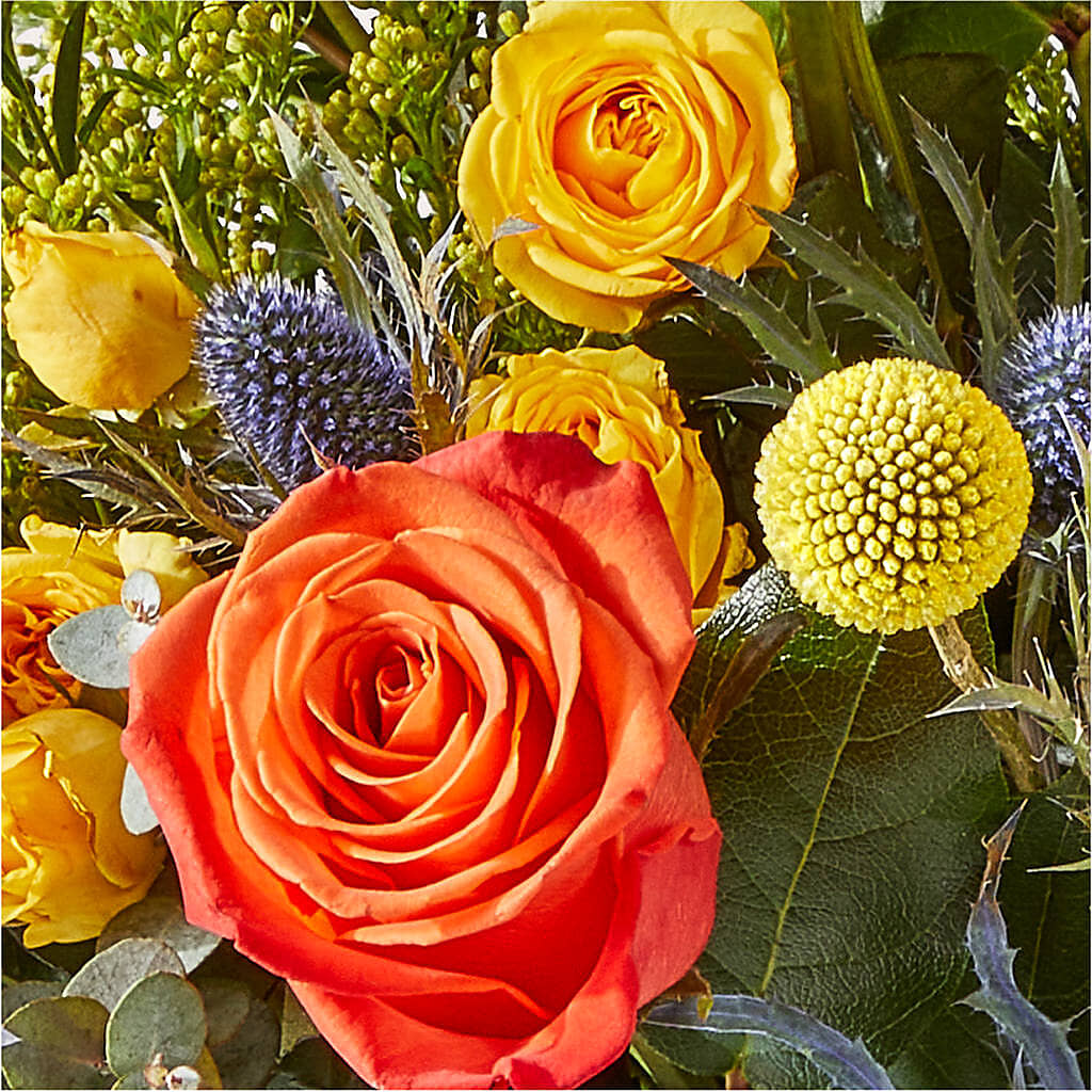 Disco Bouquet –  Holtschlag Florist, Quincy IL