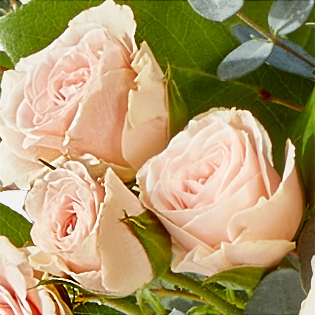 Inspired Bouquet –  Holtschlag Florist, Quincy IL