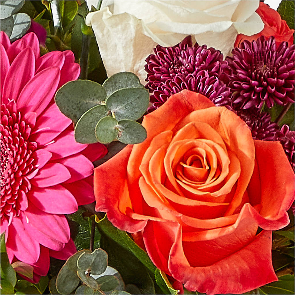 Smell the Roses Bouquet –  Holtschlag Florist, Quincy IL