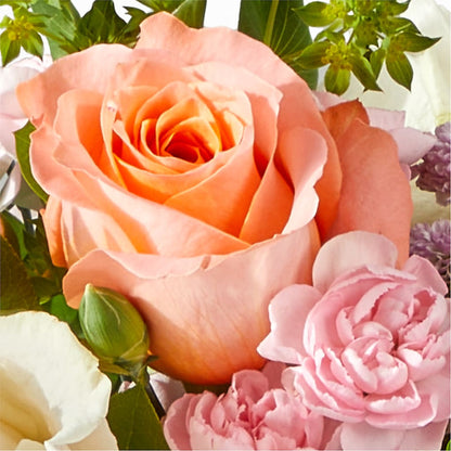 French Market Bouquet –  Holtschlag Florist, Quincy IL