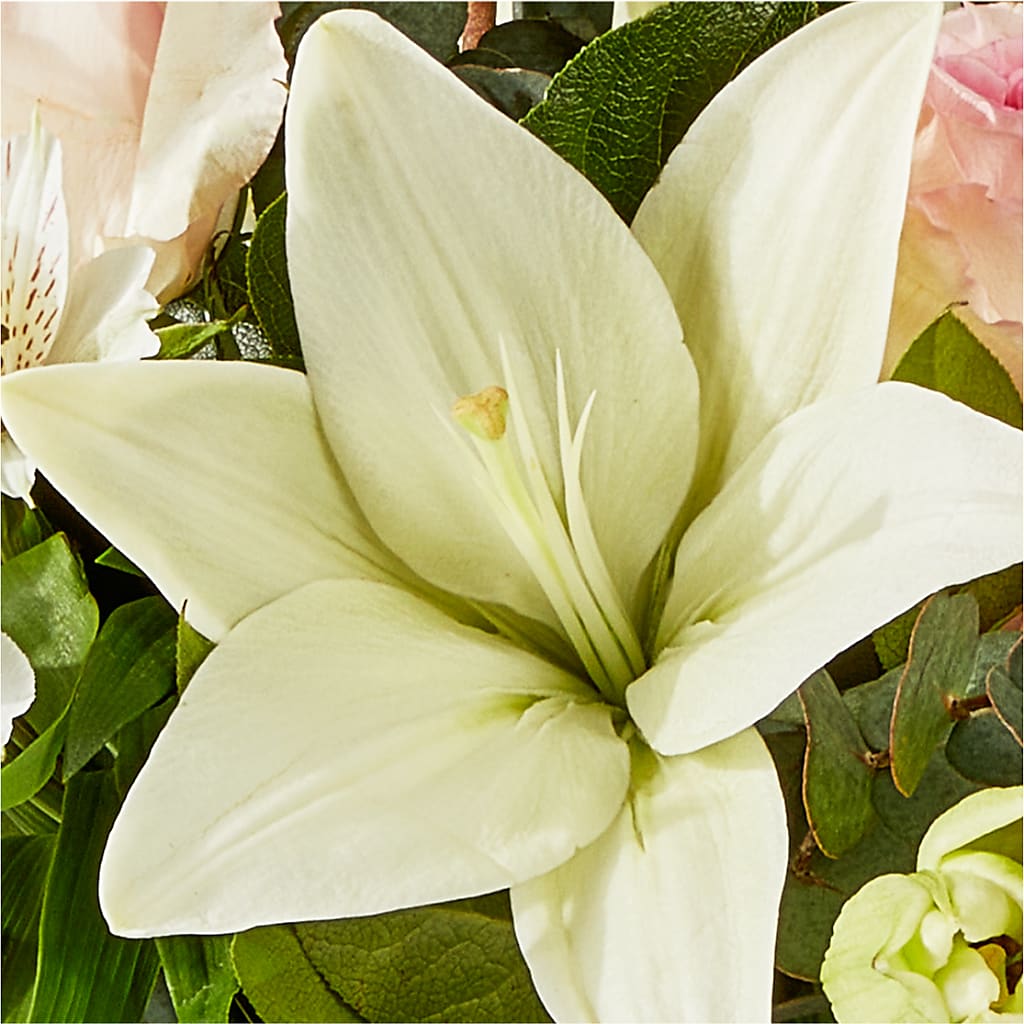 Ballet Slippers Bouquet –  Holtschlag Florist, Quincy IL