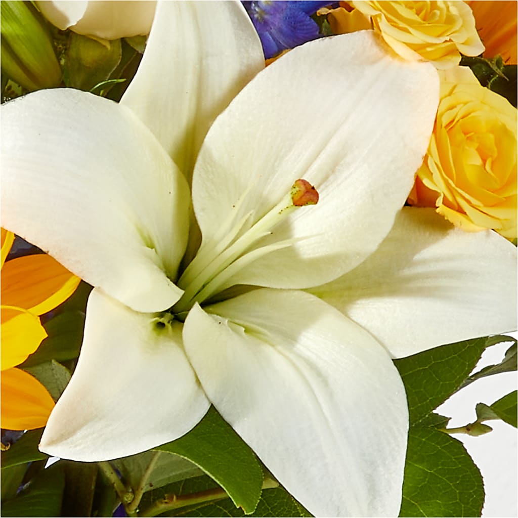 Wonderfully Sunny Bouquet –  Holtschlag Florist, Quincy IL
