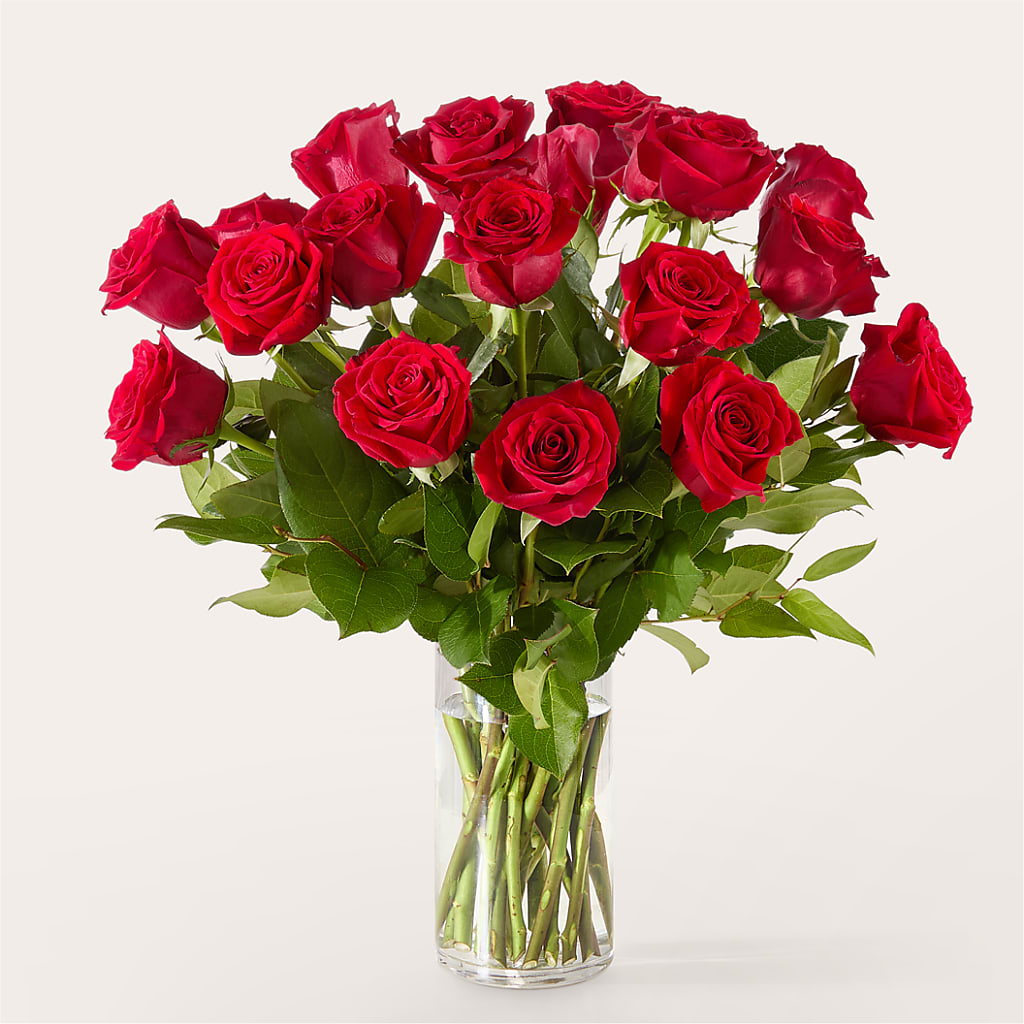 The One Red Rose Bouquet –  Holtschlag Florist, Quincy IL