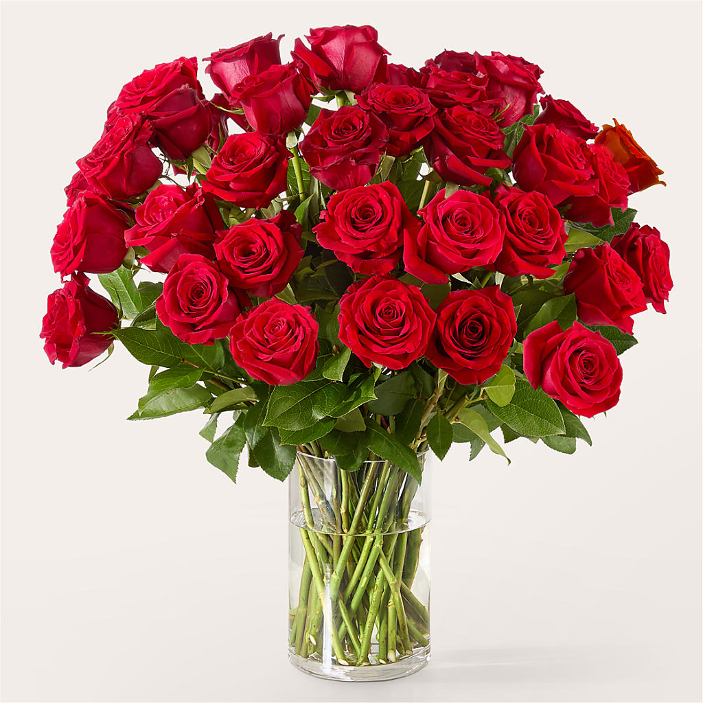 The One Red Rose Bouquet –  Holtschlag Florist, Quincy IL