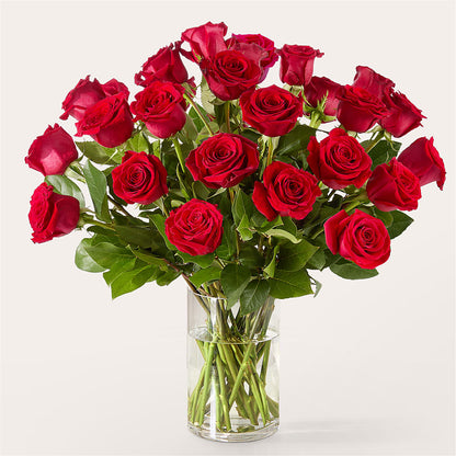 The One Red Rose Bouquet –  Holtschlag Florist, Quincy IL