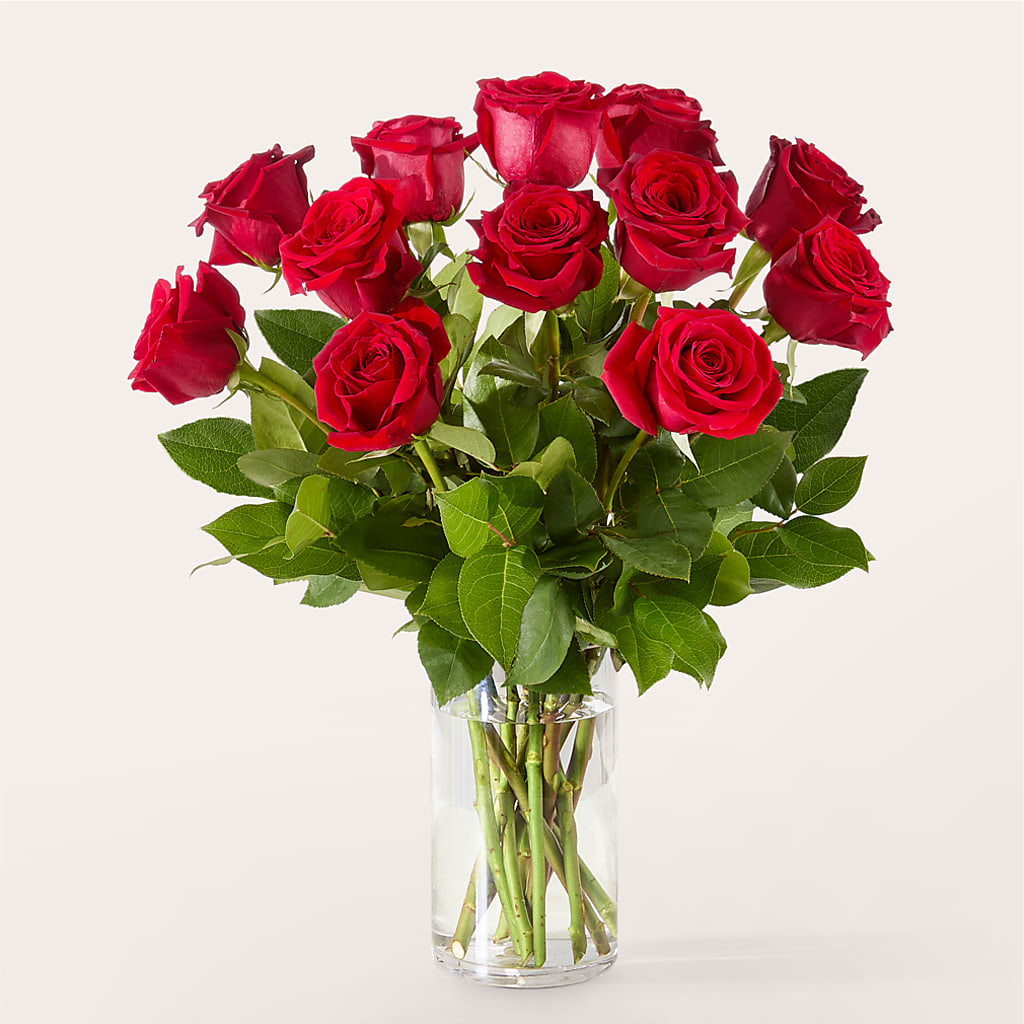 The One Red Rose Bouquet –  Holtschlag Florist, Quincy IL