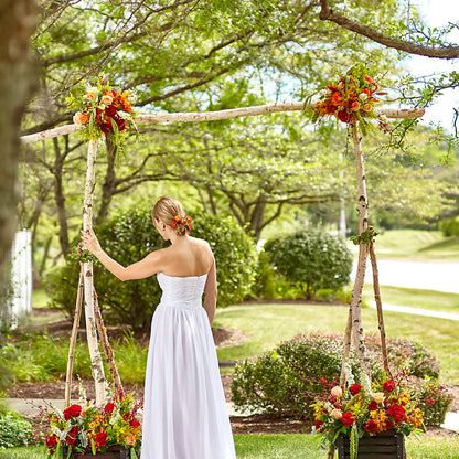 Arbor of Love Archway –  Holtschlag Florist, Quincy IL