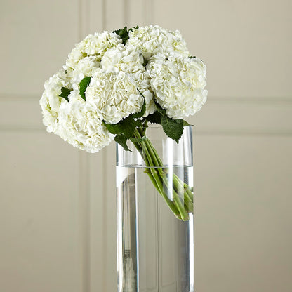 White Hydrangea Hand-Tied Bouquet –  Holtschlag Florist, Quincy IL