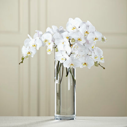 White Phalaenopsis Bouquet –  Holtschlag Florist, Quincy IL