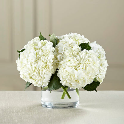 White Hydrangea Bouquet –  Holtschlag Florist, Quincy IL