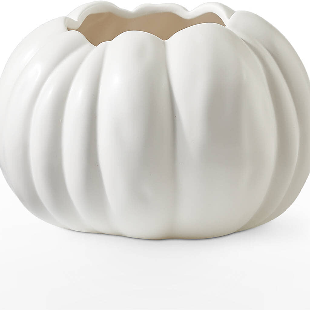 Autumn Air Pumpkin Bouquet –  Holtschlag Florist, Quincy IL